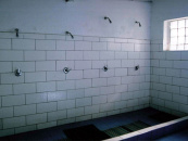 D�tsk� t�bor Rakousy