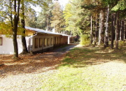 D�tsk� t�bor Lesanka